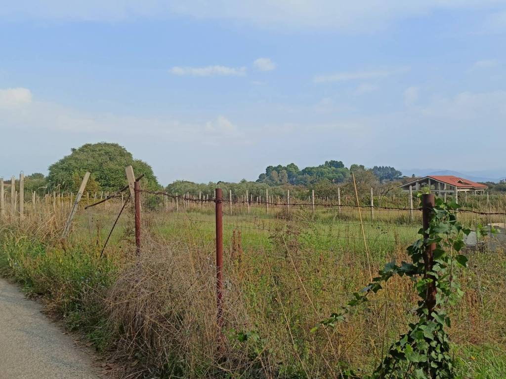Terreno a Monte compatri in Via Olivello Parti Comuni - Foto 3