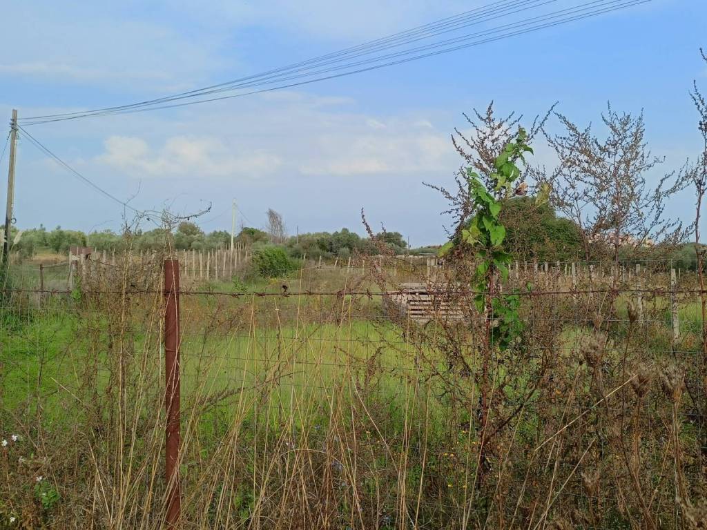 Terreno a Monte compatri in Via Olivello Parti Comuni - Foto 4