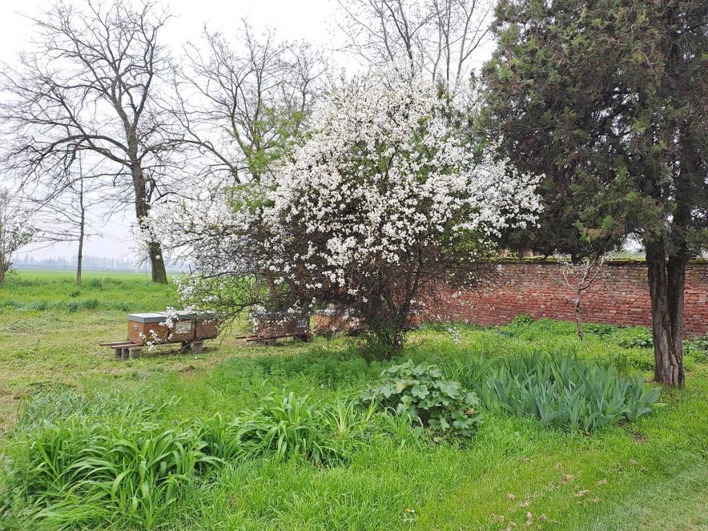 Terreno a Cremona in Via Ca' Rotte - Foto 2
