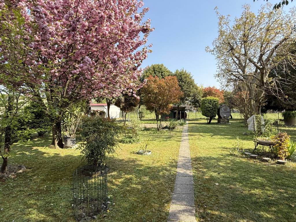 Casa indipendente a Motta di livenza in Riviera Pompeo Molmenti 62 - Foto 5