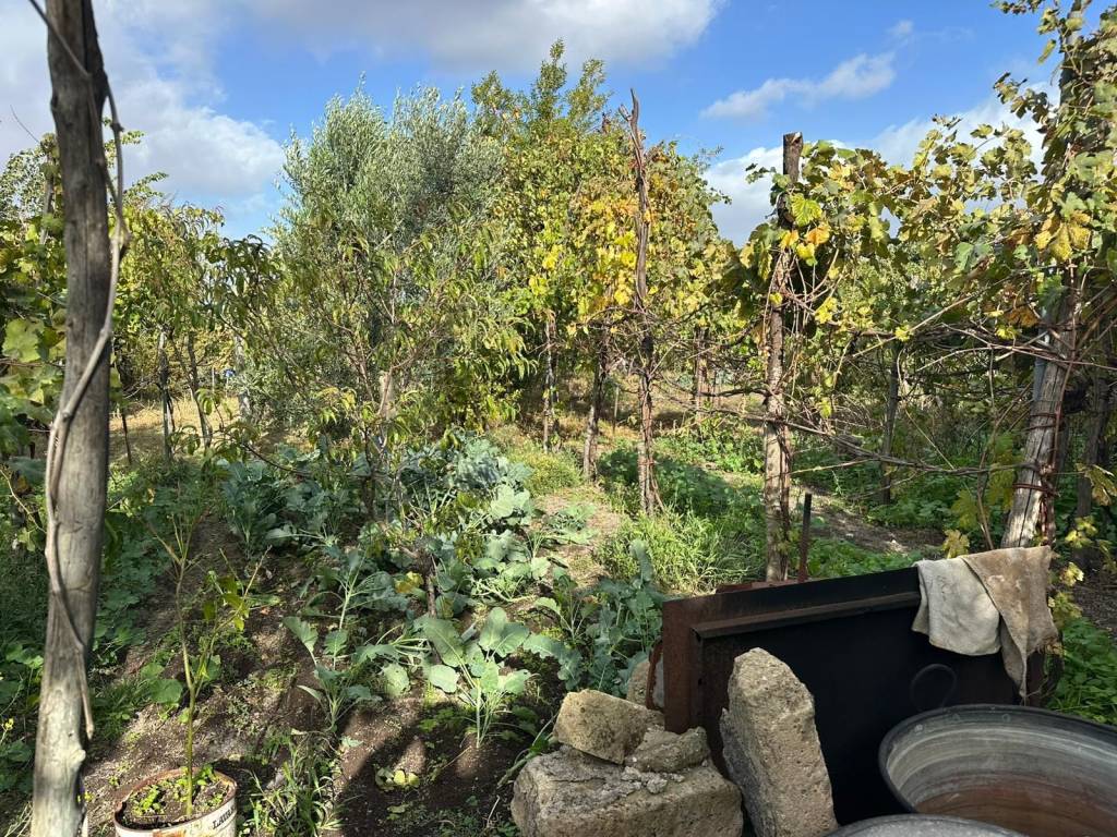 Villa a Somma vesuviana in Via Bosco - Foto 5