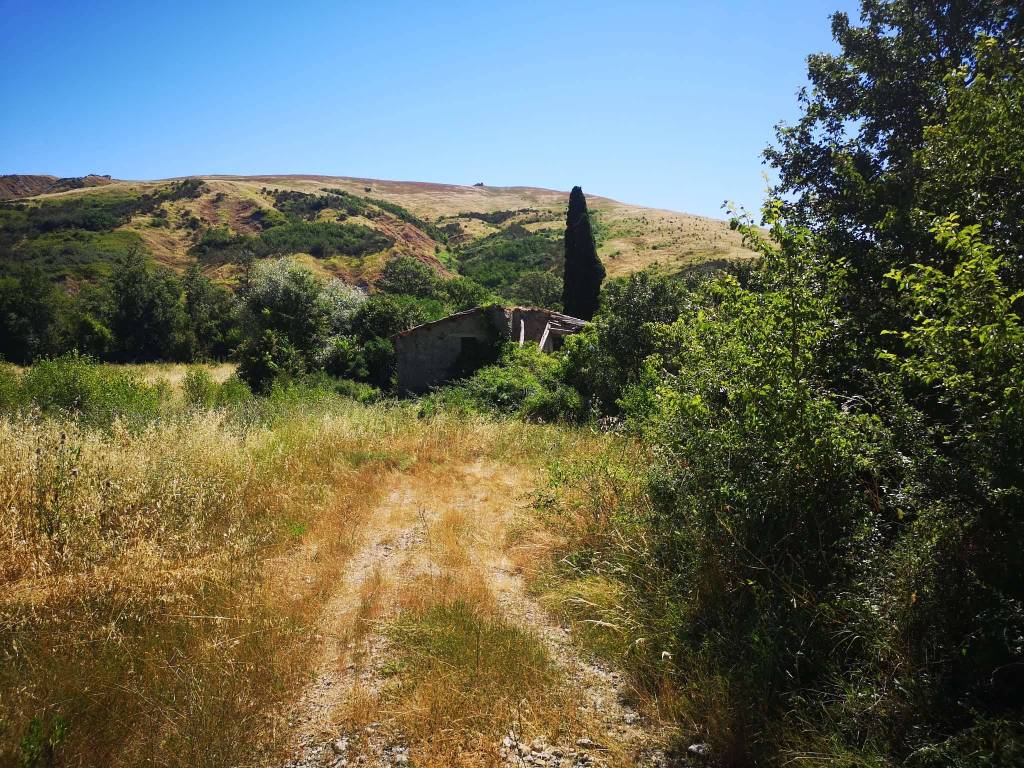 Rustico / casale a Abbadia san salvatore in strada provinciale Podere La Vigna/Località Paglia - Foto 3