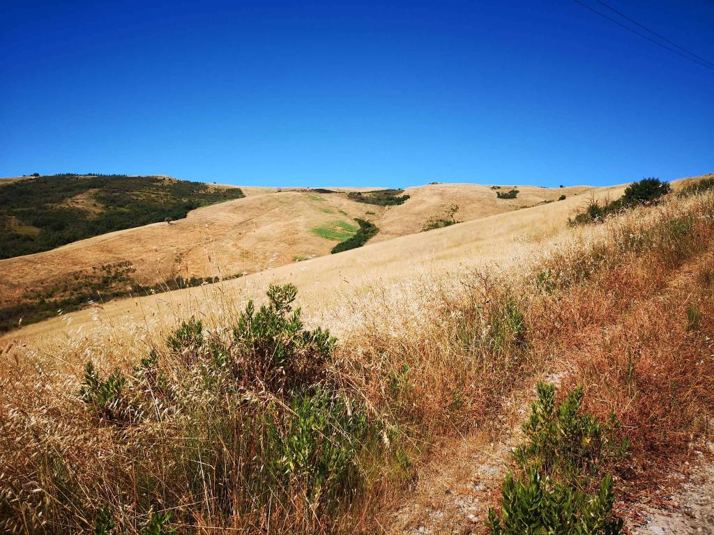 Rustico / casale a Abbadia san salvatore in strada provinciale Podere La Vigna/Località Paglia - Foto 4