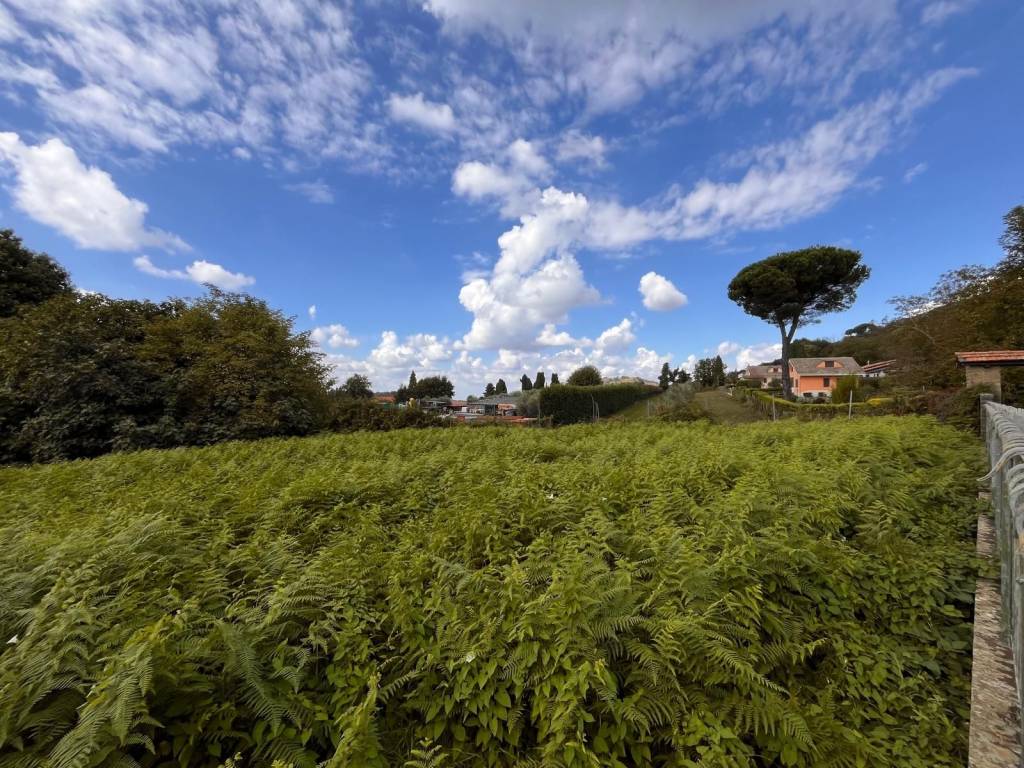 Terreno a Rocca priora in Via delle Ortensie - Foto 3
