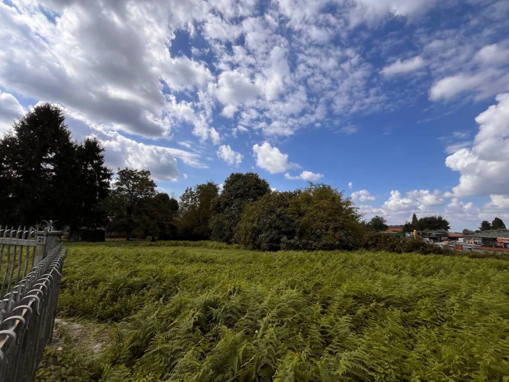 Terreno a Rocca priora in Via delle Ortensie - Foto 4
