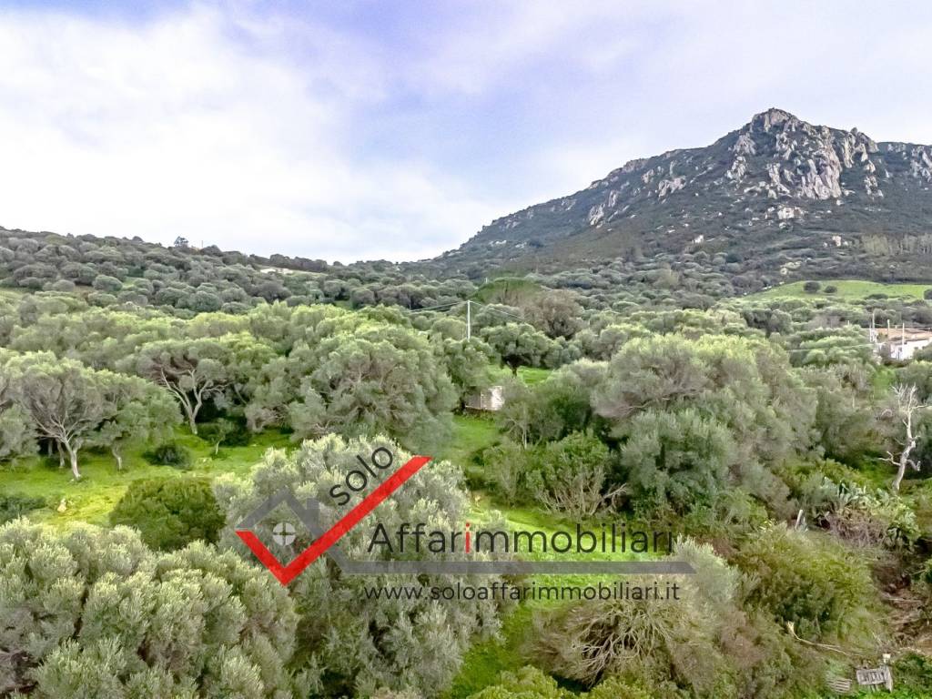 Terreno a Loiri porto san paolo in Località Loiri - Foto 4