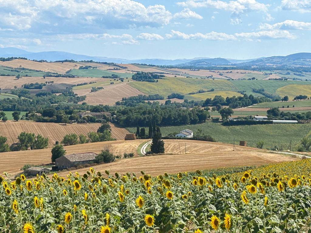 Rustico / casale a Filottrano in Via Maiano - Foto 2