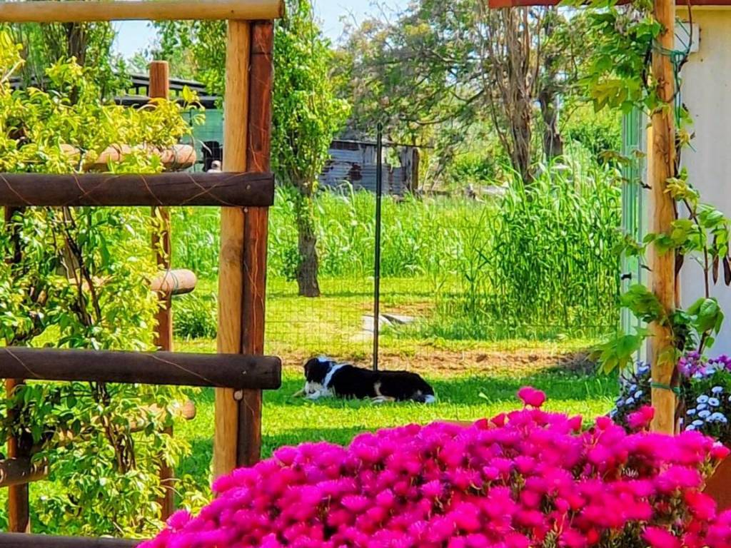 Casa indipendente a Campiglia marittima in Strada Provinciale delle Caldanelle - Foto 4