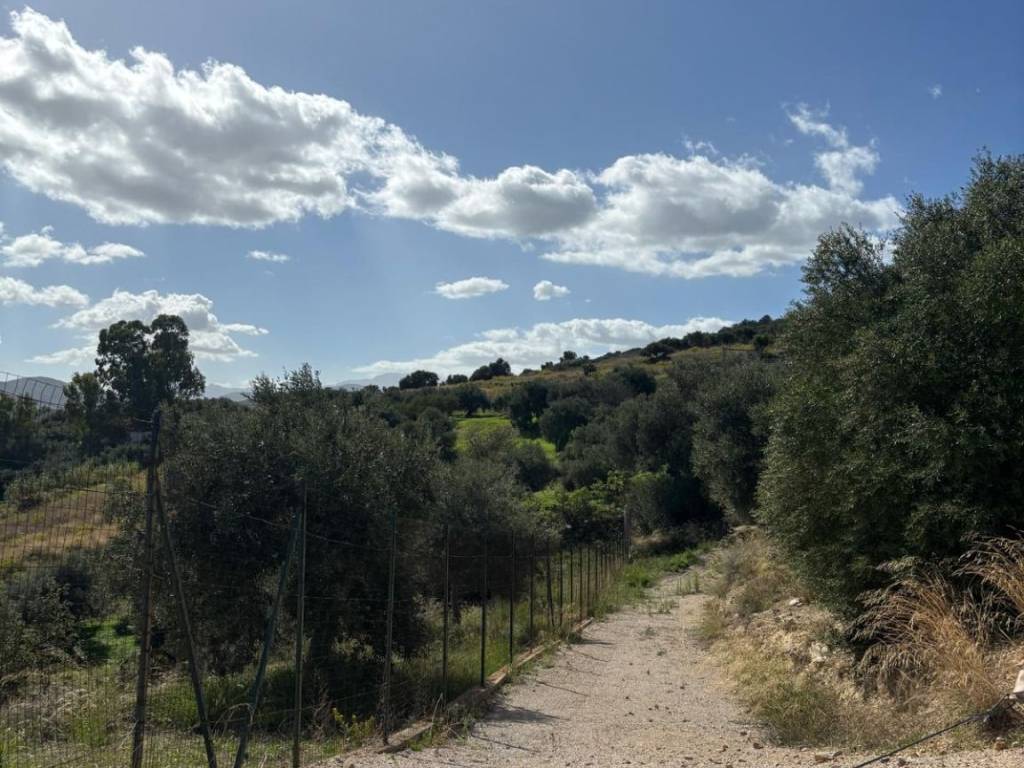 Terreno a Bagheria in Strada Torre Amalfitano - Foto 3