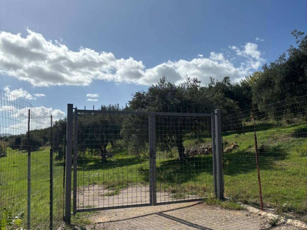 Terreno a Bagheria in Strada Torre Amalfitano - Foto 4