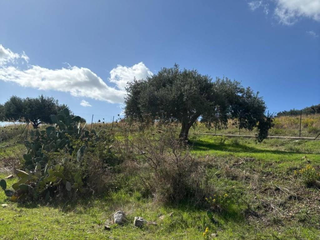 Terreno a Bagheria in Strada Torre Amalfitano - Foto 5