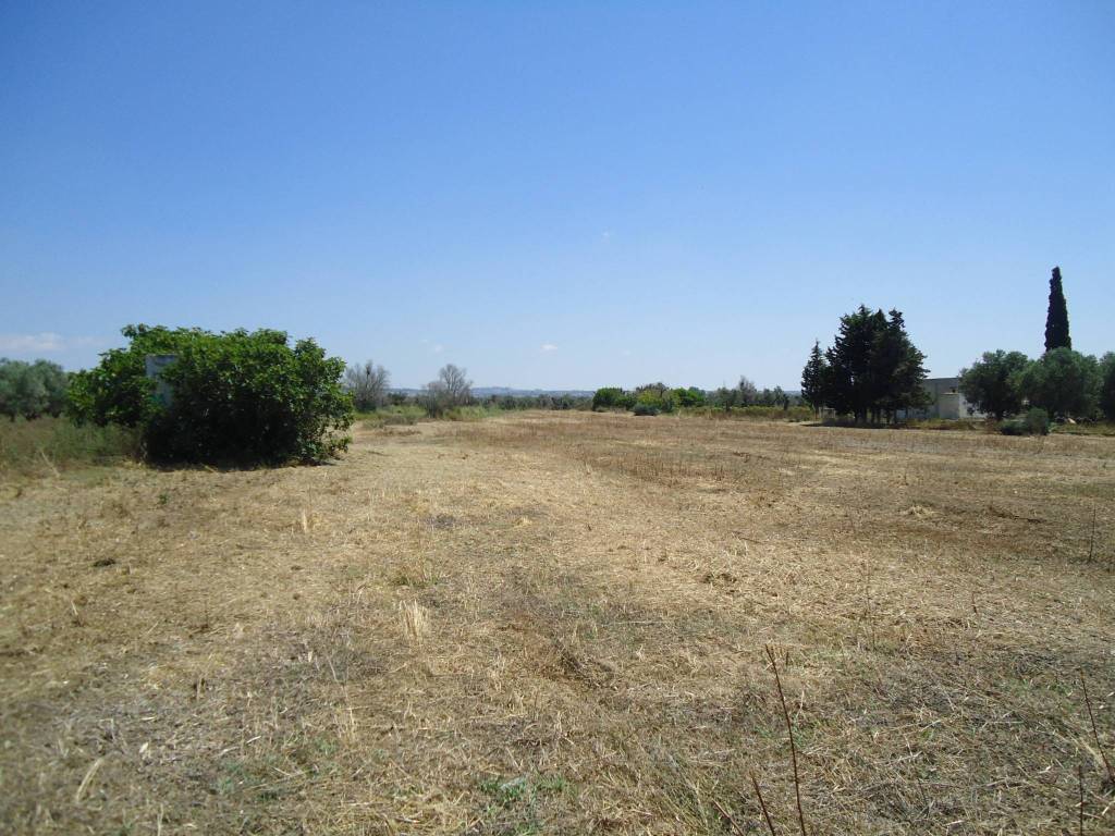 Terreno a Parabita in Strada Vicinale Iala - Foto 2