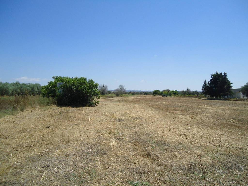 Terreno a Parabita in Strada Vicinale Iala - Foto 3