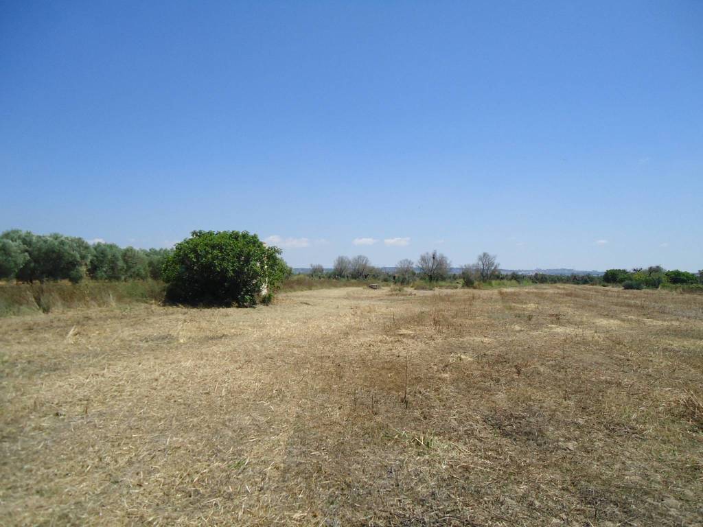 Terreno a Parabita in Strada Vicinale Iala - Foto 4