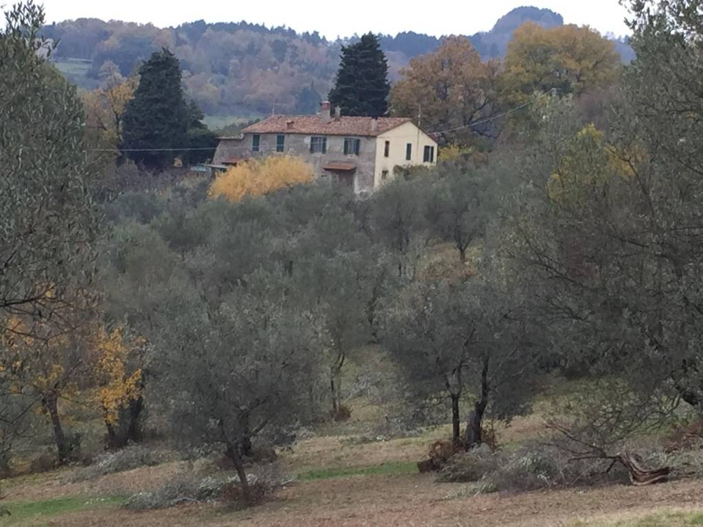 Rustico / casale a Fiesole - Foto 5