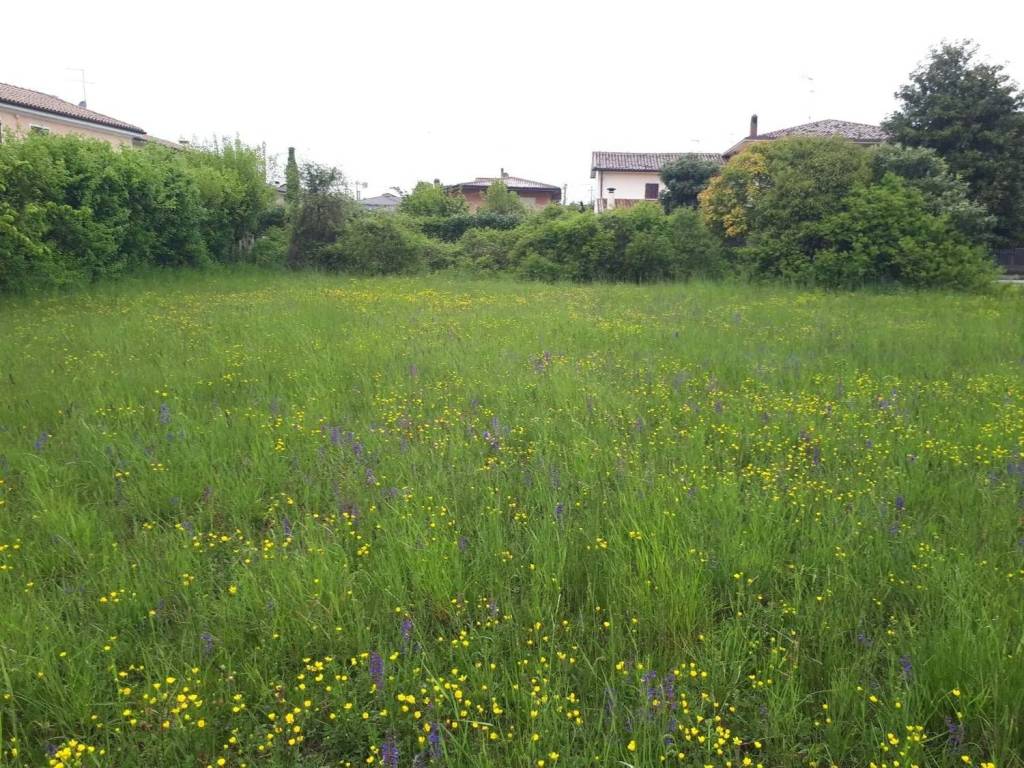 Terreno a Montebelluna - Foto 4