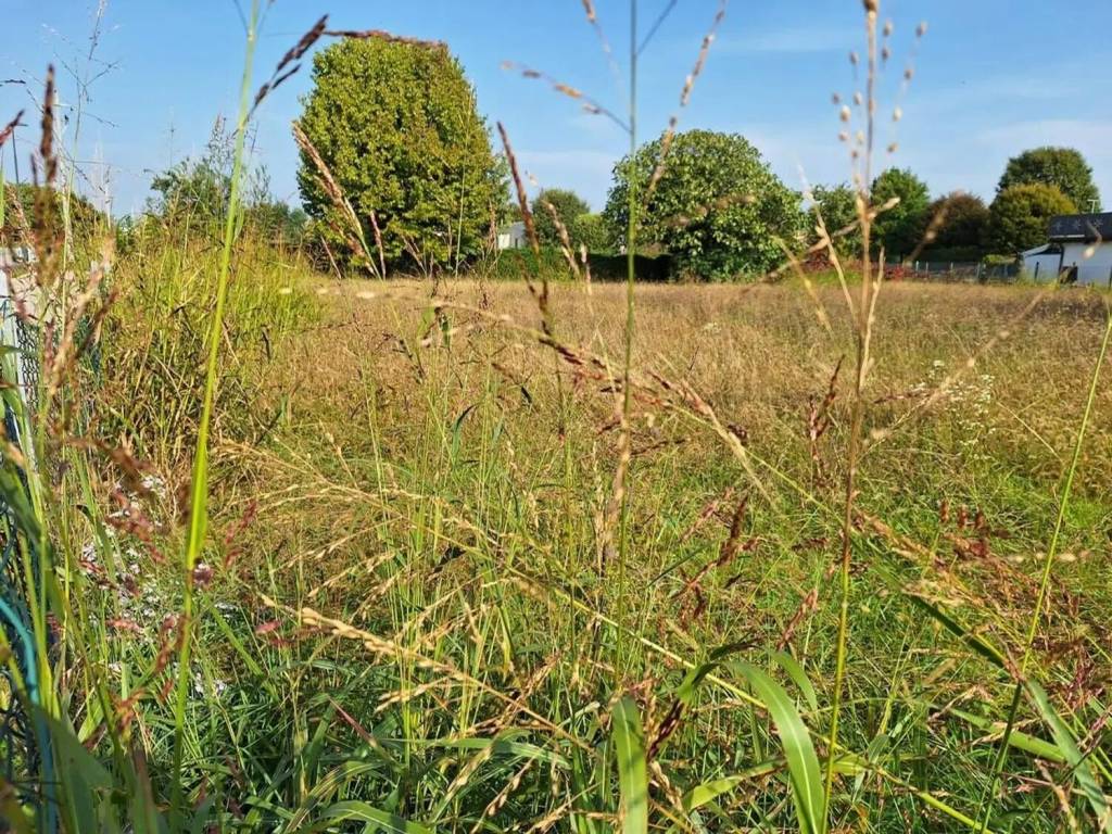 Terreno a Paese - Foto 2