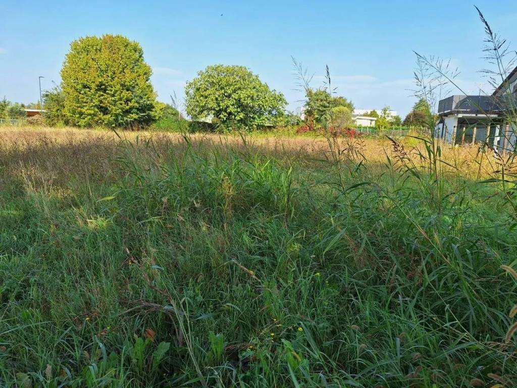 Terreno a Paese - Foto 4