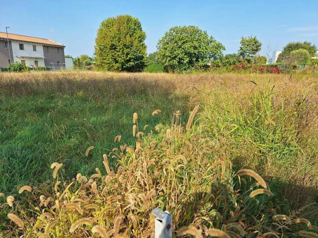 Terreno a Paese - Foto 5