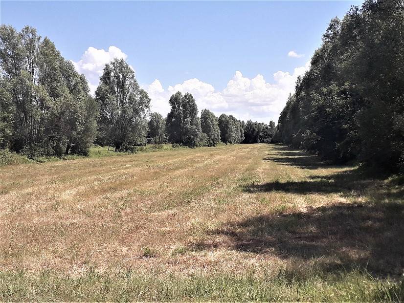 Terreno a Cortona in Case Sparse Terontola - Foto 4