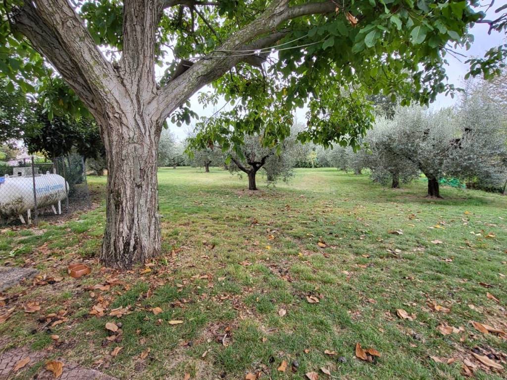 Villa a Cisterna di latina - Foto 4