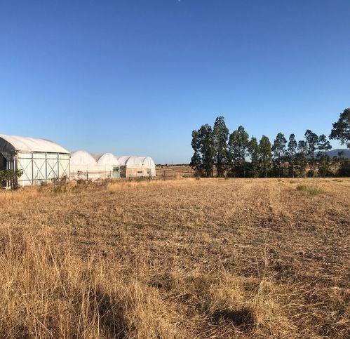 Terreno a Uta in Ponte - Foto 4