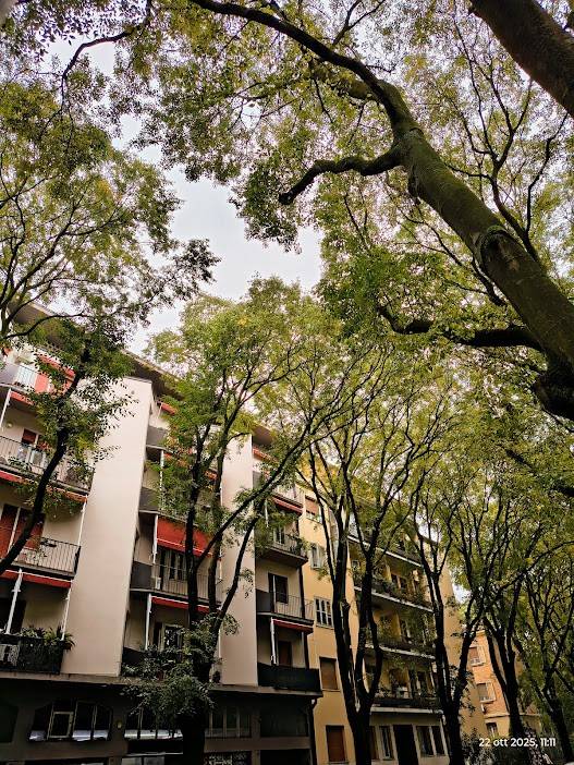 Appartamento a Ferrara in Viale 4 Novembre - Foto 5