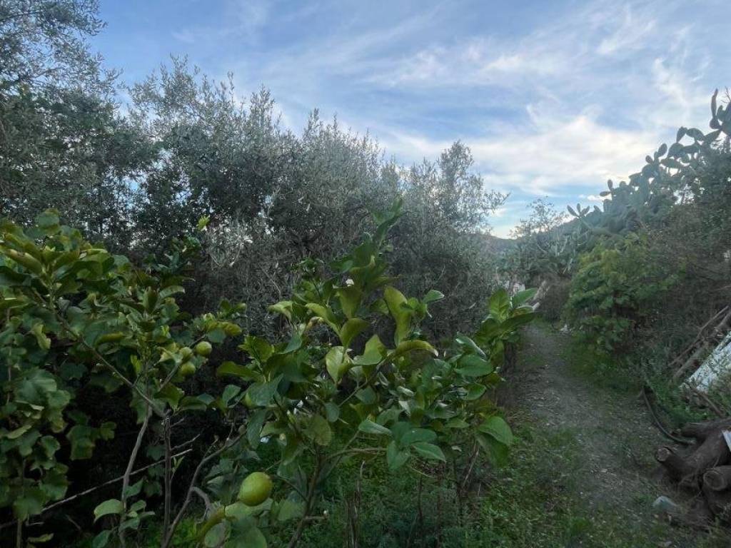 Terreno a Furci siculo in Via Grotte - Foto 2