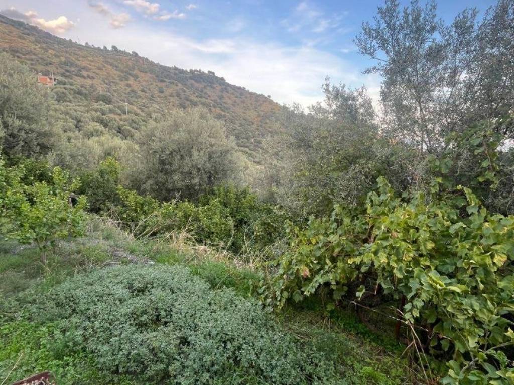 Terreno a Furci siculo in Via Grotte - Foto 3