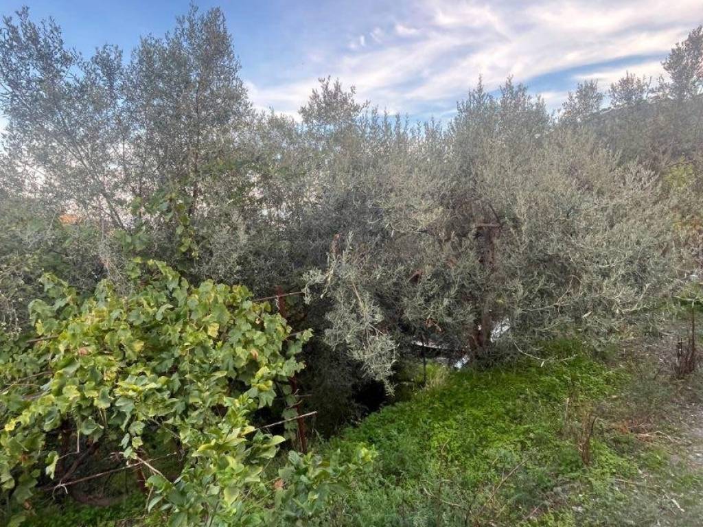 Terreno a Furci siculo in Via Grotte - Foto 4