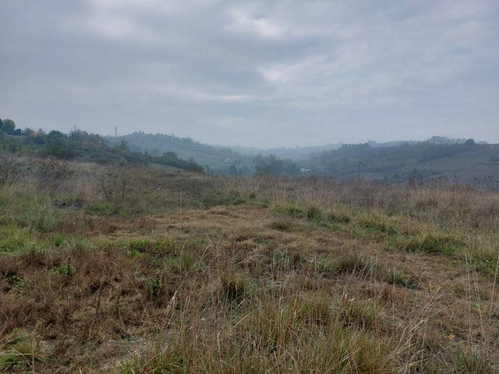 Terreno a Valenza in Strada Citerna - Foto 2