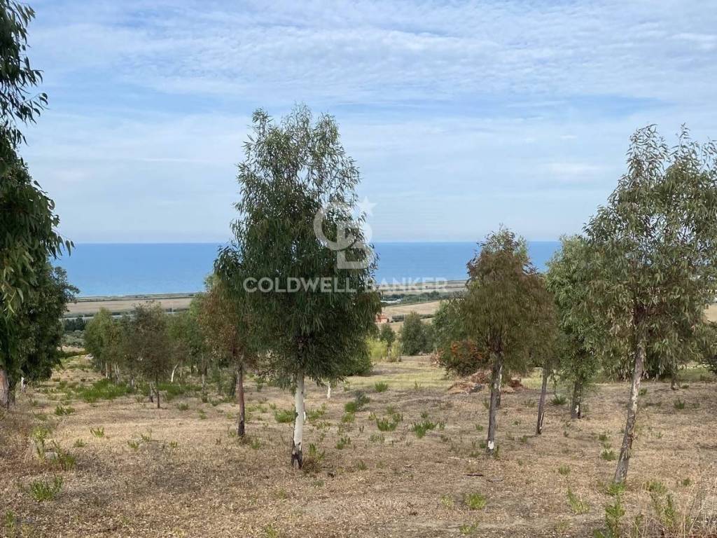 Terreno a Montenero di bisaccia in Contrada Montebello - Foto 5