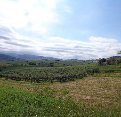 Terreno a Cupello in Via Montalfano - Foto 3