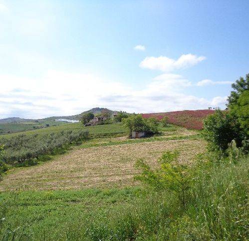 Terreno a Cupello in Via Montalfano - Foto 4