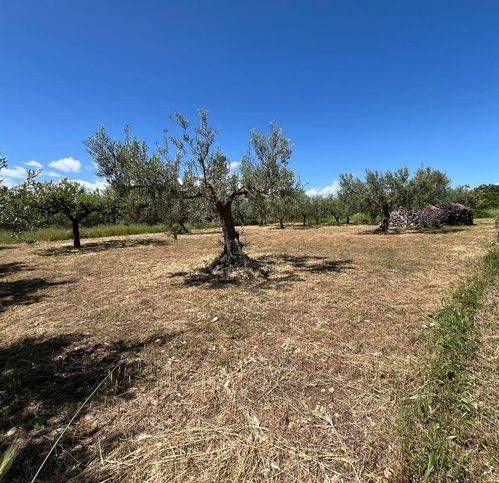 Terreno a San salvo in Contrada Colle Pagano - Foto 2
