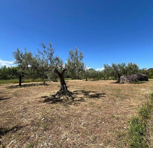 Terreno a San salvo in Contrada Colle Pagano - Foto 3