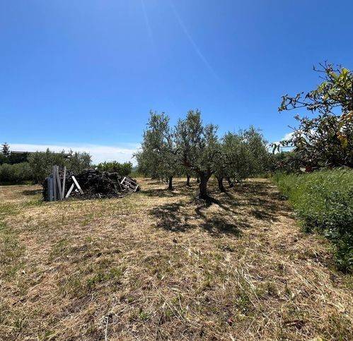 Terreno a San salvo in Contrada Colle Pagano - Foto 4