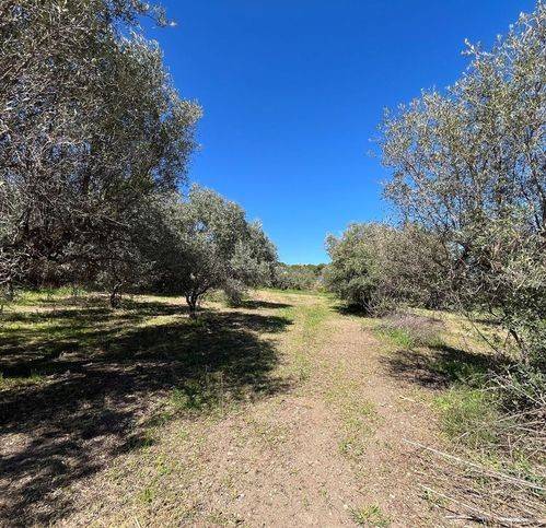 Terreno a San salvo in Via San Benedetto - Foto 2