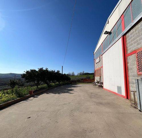 Immobile a Cupello in Contrada Bufalara - Foto 4