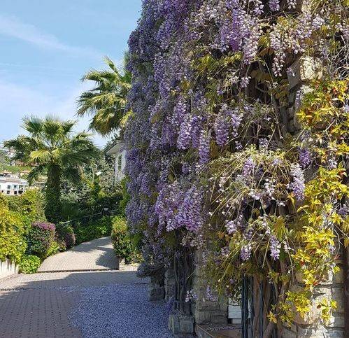 Villa a Sanremo in Via Giacomo Leopardi - Foto 5