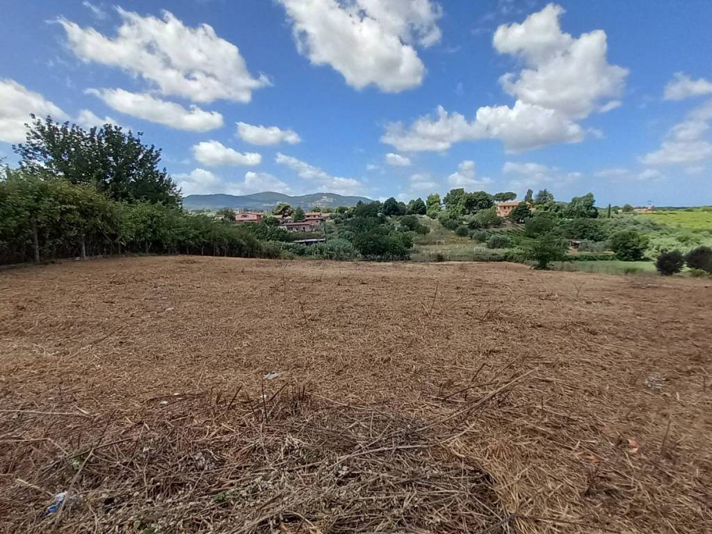 Terreno a San cesareo in Via di Colle Chiuso - Foto 2