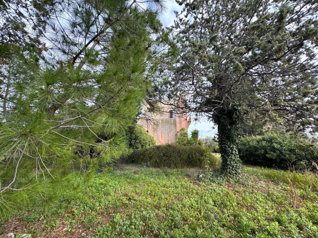 Villa a Ruvo di puglia in Regio Tratturello Canosa Ruvo - Foto 3
