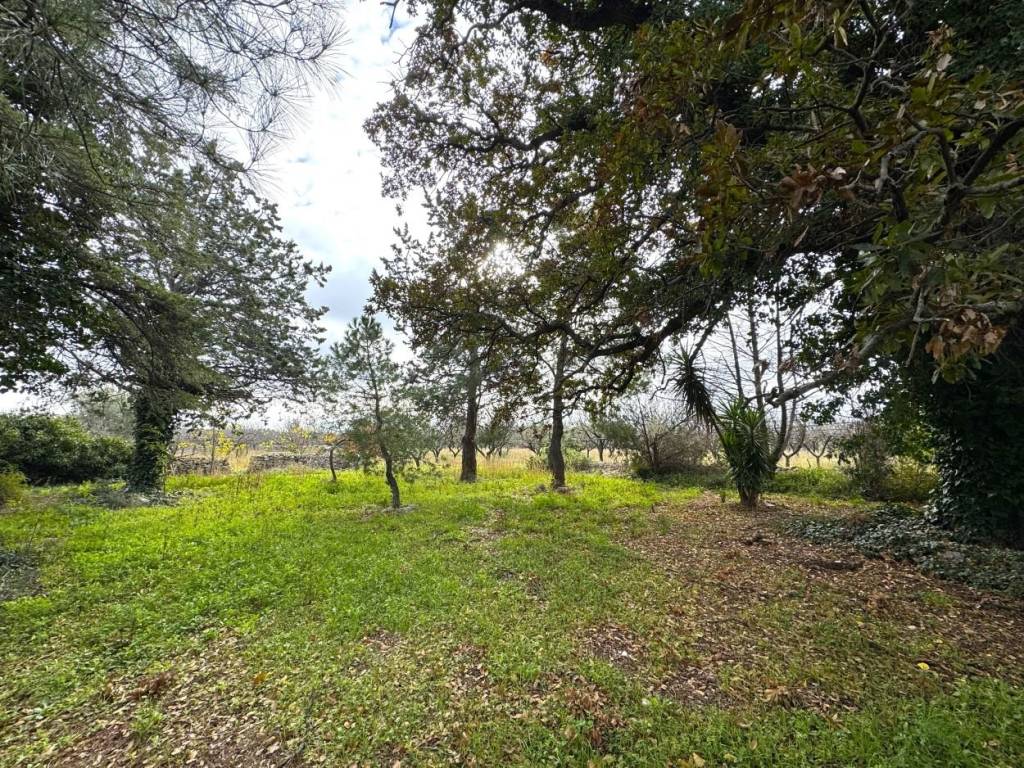 Villa a Ruvo di puglia in Regio Tratturello Canosa Ruvo - Foto 4