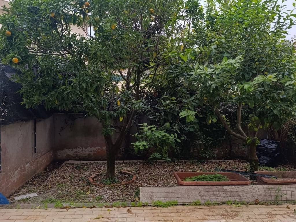 Appartamento a Nettuno in Via Scipione Borghese - Foto 3