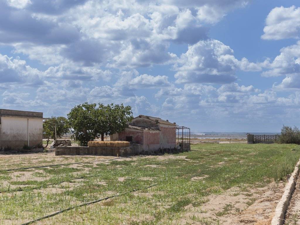 Rustico / casale a Margherita di savoia in Via Orno - Foto 3