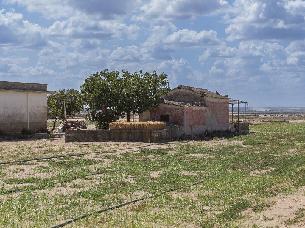 Rustico / casale a Margherita di savoia in Via Orno - Foto 4