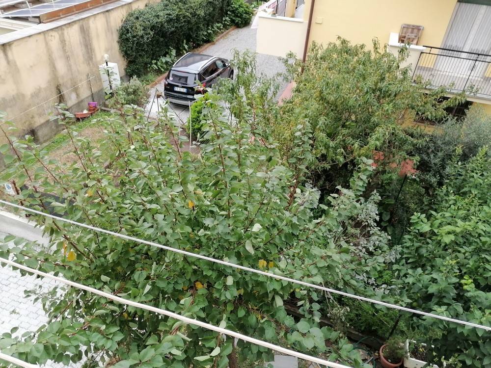 Appartamento a Sestri levante in Via Genova - Foto 2