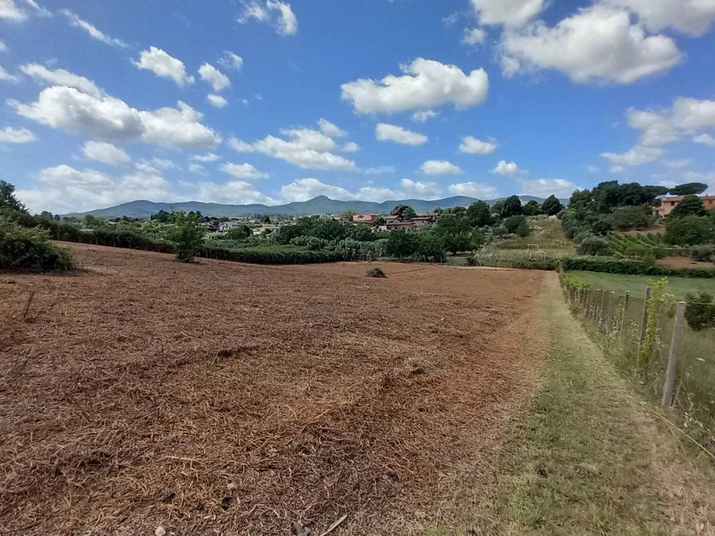 Terreno a San cesareo in Via di Colle Chiuso - Foto 3