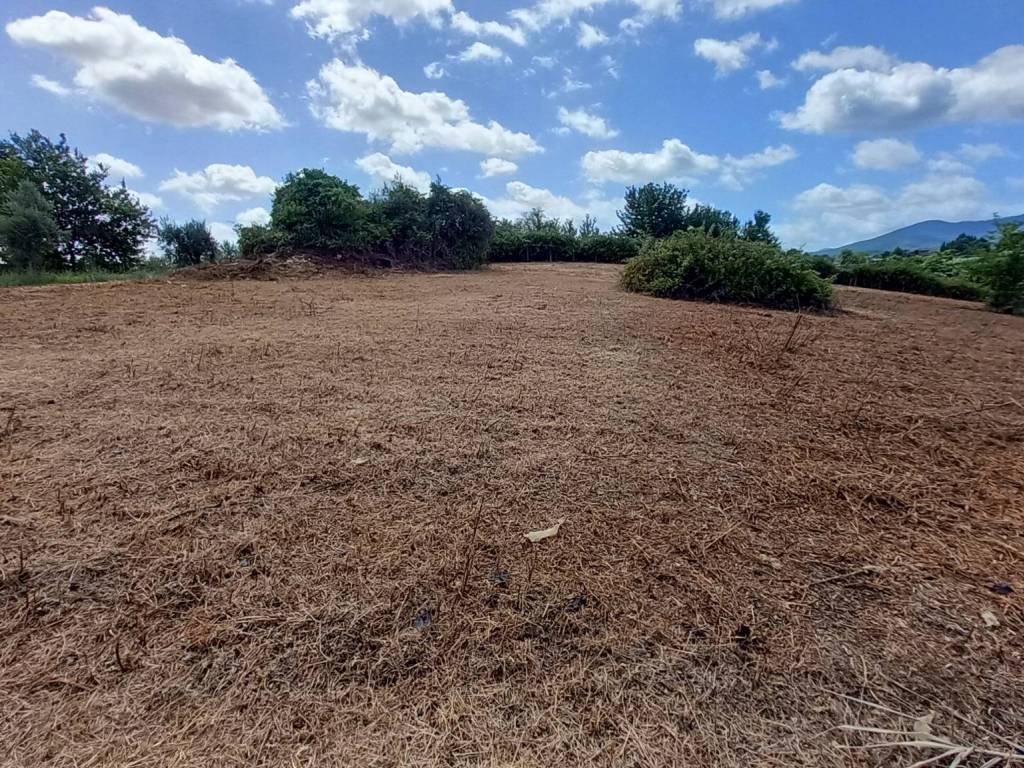 Terreno a San cesareo in Via di Colle Chiuso - Foto 4