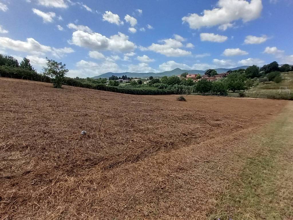 Terreno a San cesareo in Via di Colle Chiuso - Foto 5